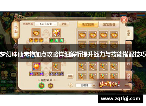 梦幻诛仙宠物加点攻略详细解析提升战力与技能搭配技巧