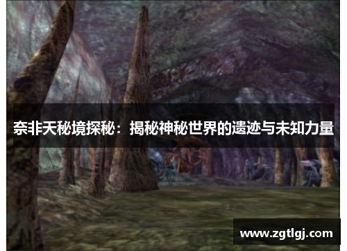 奈非天秘境探秘：揭秘神秘世界的遗迹与未知力量